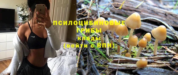 прущие крисы Баксан