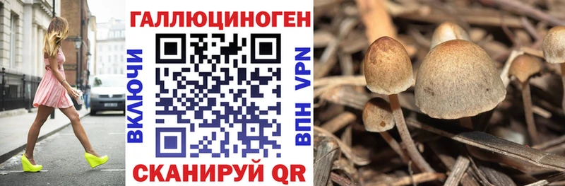 Галлюциногенные грибы Magic Shrooms  как найти закладки  Котельниково 